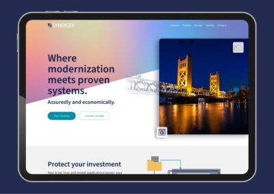 Synergex Website